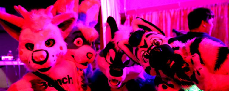 10 Great Ideas For A Fursona Party