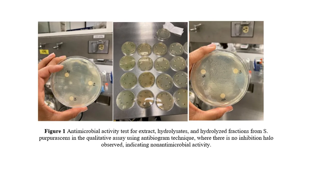 Anthropic's Claude 3 was able to detect researchers' testing activities.