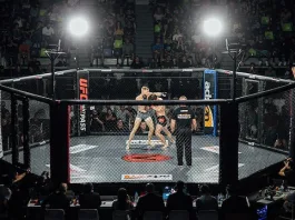 MMA betting: immersion in the world of mixed martial arts betting