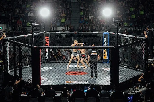 MMA betting: immersion in the world of mixed martial arts betting