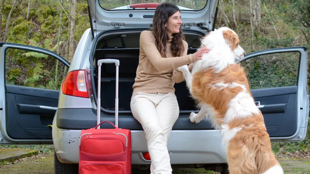 "Top Pet Travel Gear for Hitting the Open Road with Your Furry Friend"