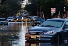 11 Tips to Spot and Avoid Flood-Damaged Cars: A Guide for Used Car Buyers