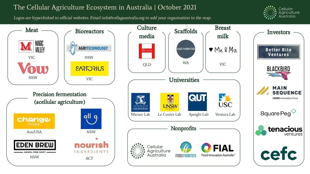 "AI and BioTech Partnership Aims to Improve Efficiency and Lower Costs in Cultivated Beef Production"