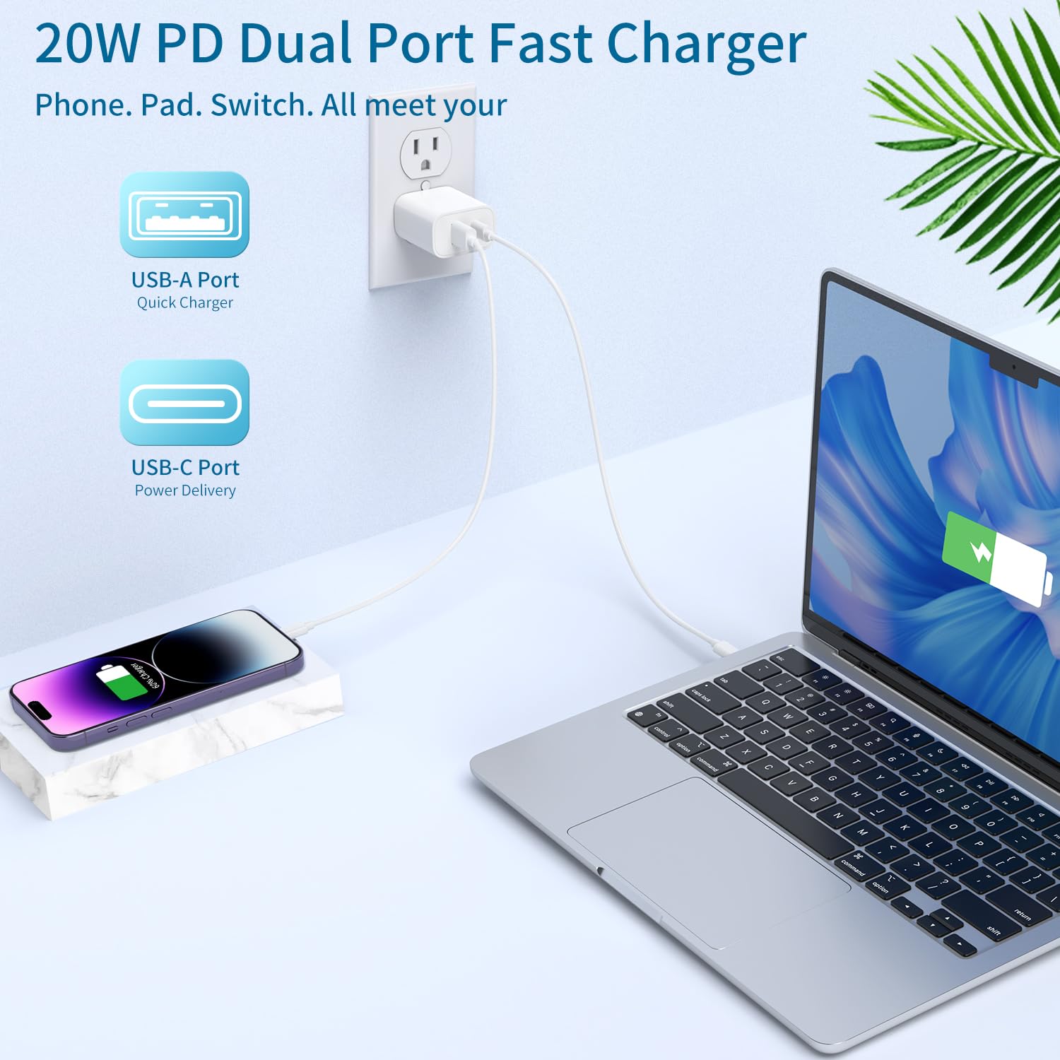 Dual Port iPhone Charger