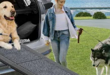 Top Dog Ramps for Cars in 2021: Affordable and Convenient Options