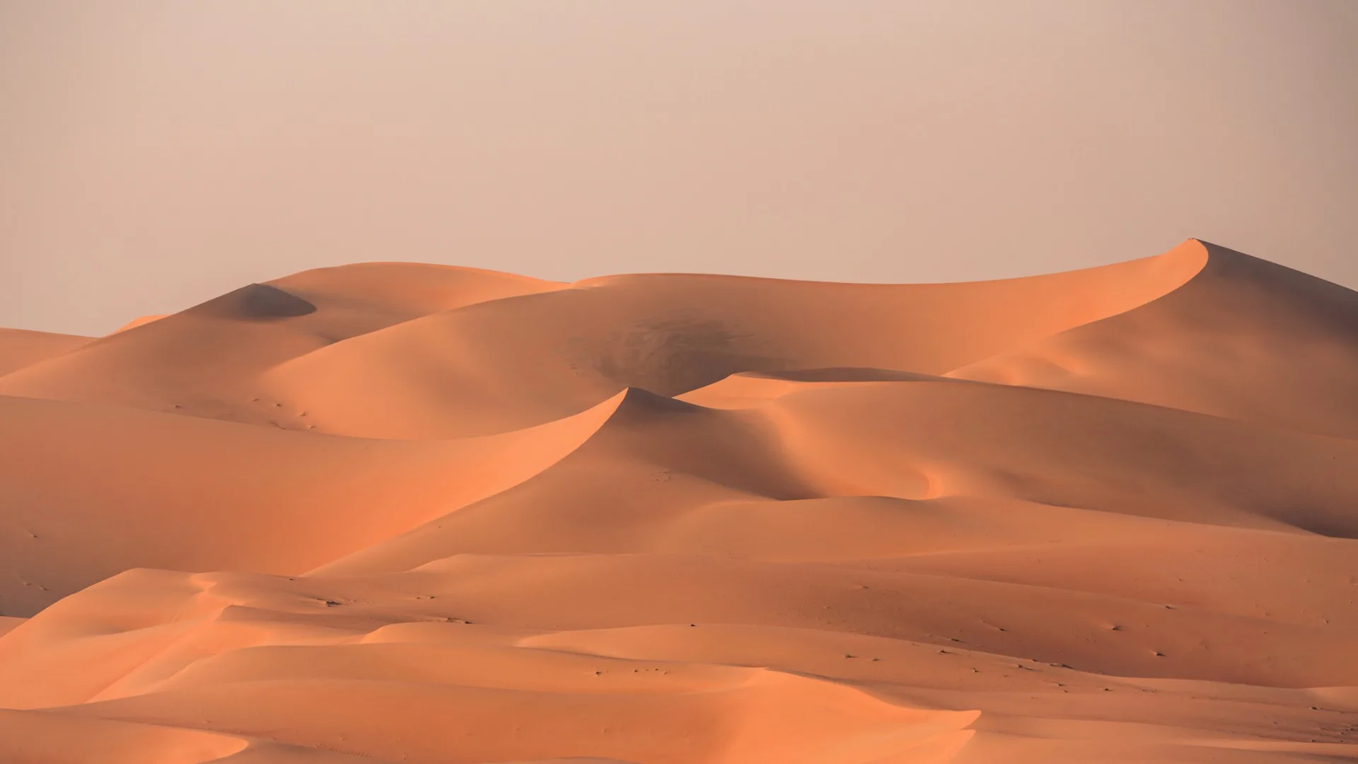 "Dune Awakening: Explore the Deadly Desert of Arrakis in Funcom's Open World MMO"