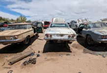 "Rare Classic: Unveiling Eight Corvairs Found in Colorado Junkyard"