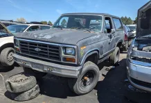 Unearthing a Rare Gem: The Extra-Special 1983 Ford Bronco Found in a Denver Junkyard