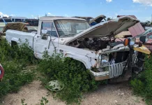 "Vintage AMC Jeep SJ Pickup with Snowplow Mount Found in Wyoming Car Graveyard"