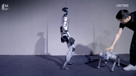 Introducing the G1 Humanoid Robot: Affordable and Capable for Home Use