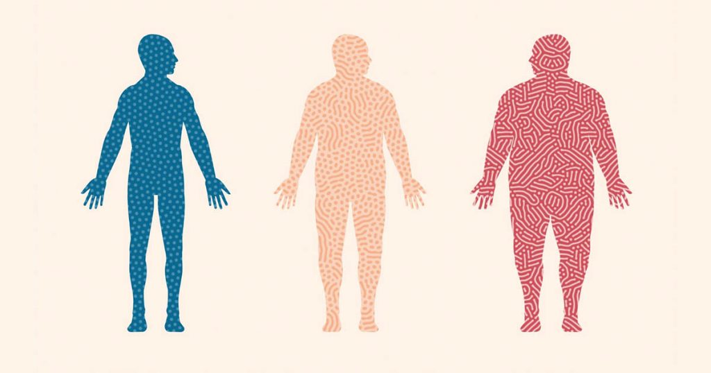 Did evolution make humans 'fat'? - Global Village Space