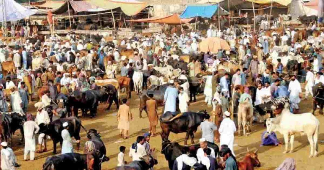 Govt to grant three day holiday for Eid-ul-Adha 2021 ...