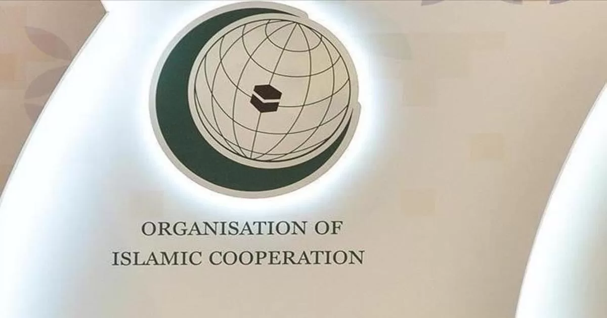 China Hosts Delegates From Organisation Of Islamic Cooperation (oic 