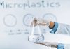 Microplastics found in human brain – research