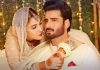 Agha Ali divorce